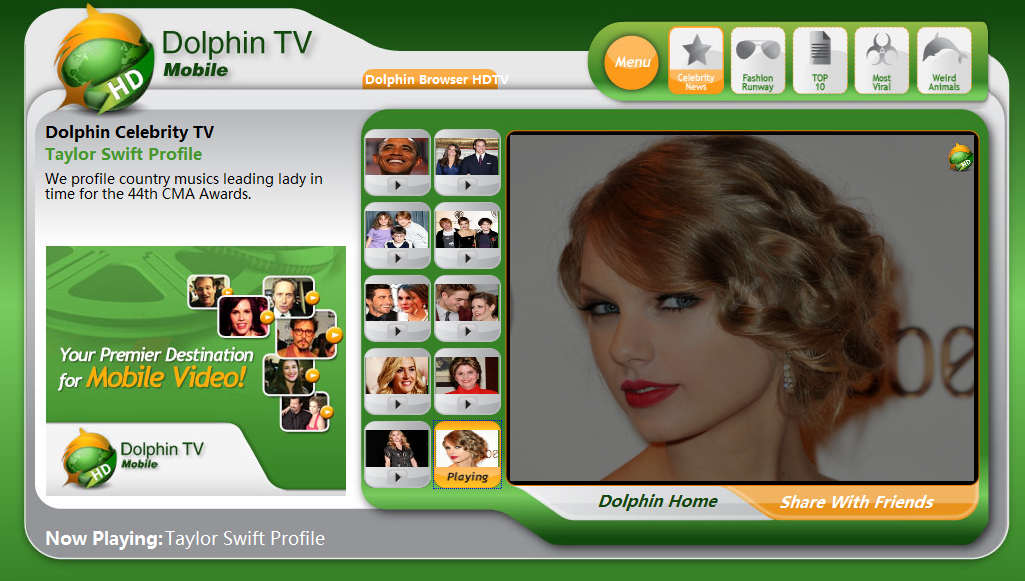 dolphin tv (1)