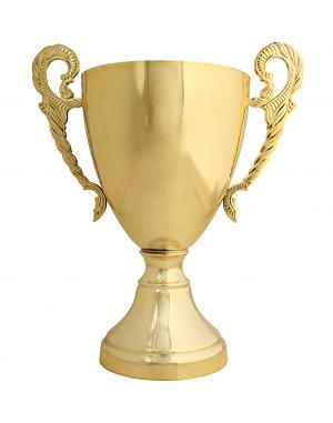 trophy trophy