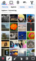 dophin_skitch_21 dophin_skitch_21