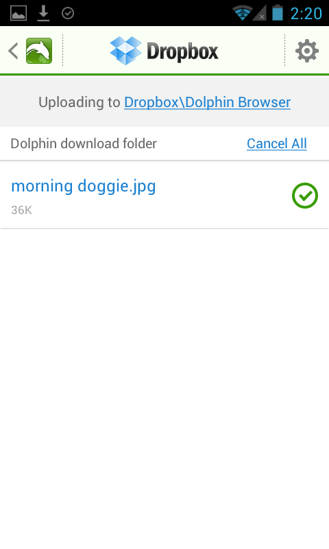 Dropbox1